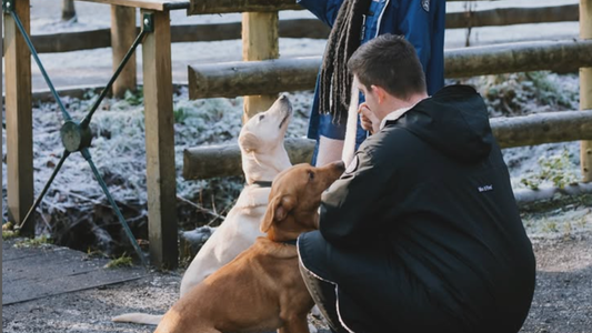 The Best Waterproof Coats for Dog Walking UK — Tested in Real Weather